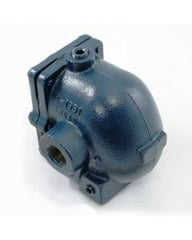 Armstrong D500655 Model 30BI-3 - BI Series 3/4 30 psi Cast Iron F&T Trap