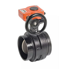VICTAULIC V060761ST2 VALVE REPAIR & REBUILD KITS