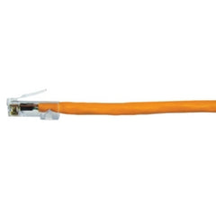 187416796.jpg
