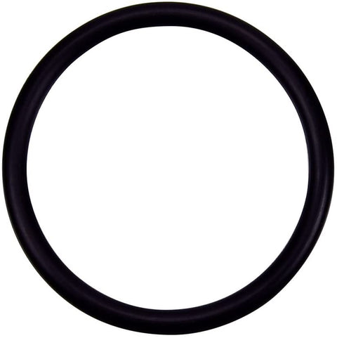 PENTAIR 274494Z O-RINGS & GASKETS