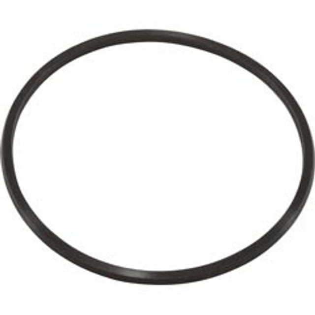 AQUAPRO SYSTEMS AquaPro Systems 10062-ACC O-Ring AL75 Trap Lid Replacement