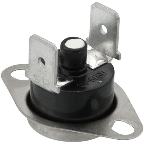 LOCHINVAR 100208172 ROLLOUT SWITCHES