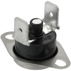 LOCHINVAR 100208172 ROLLOUT SWITCHES