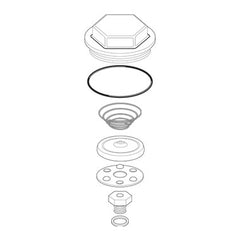 SPIRAX SARCO 66447 VALVE REPAIR & REBUILD KITS