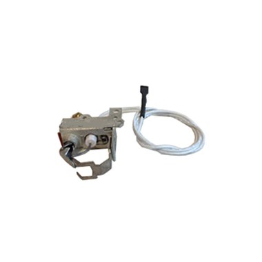 BRADFORD WHITE 2334129601 PILOT ASSEMBLIES