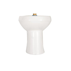 ZURN Zurn Z5645-BWL EcoVantage Elongated Toilet Bowl in White