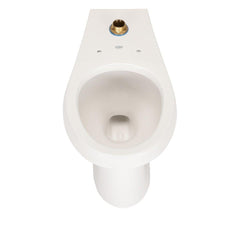 ZURN Zurn Z5645-BWL EcoVantage Elongated Toilet Bowl in White