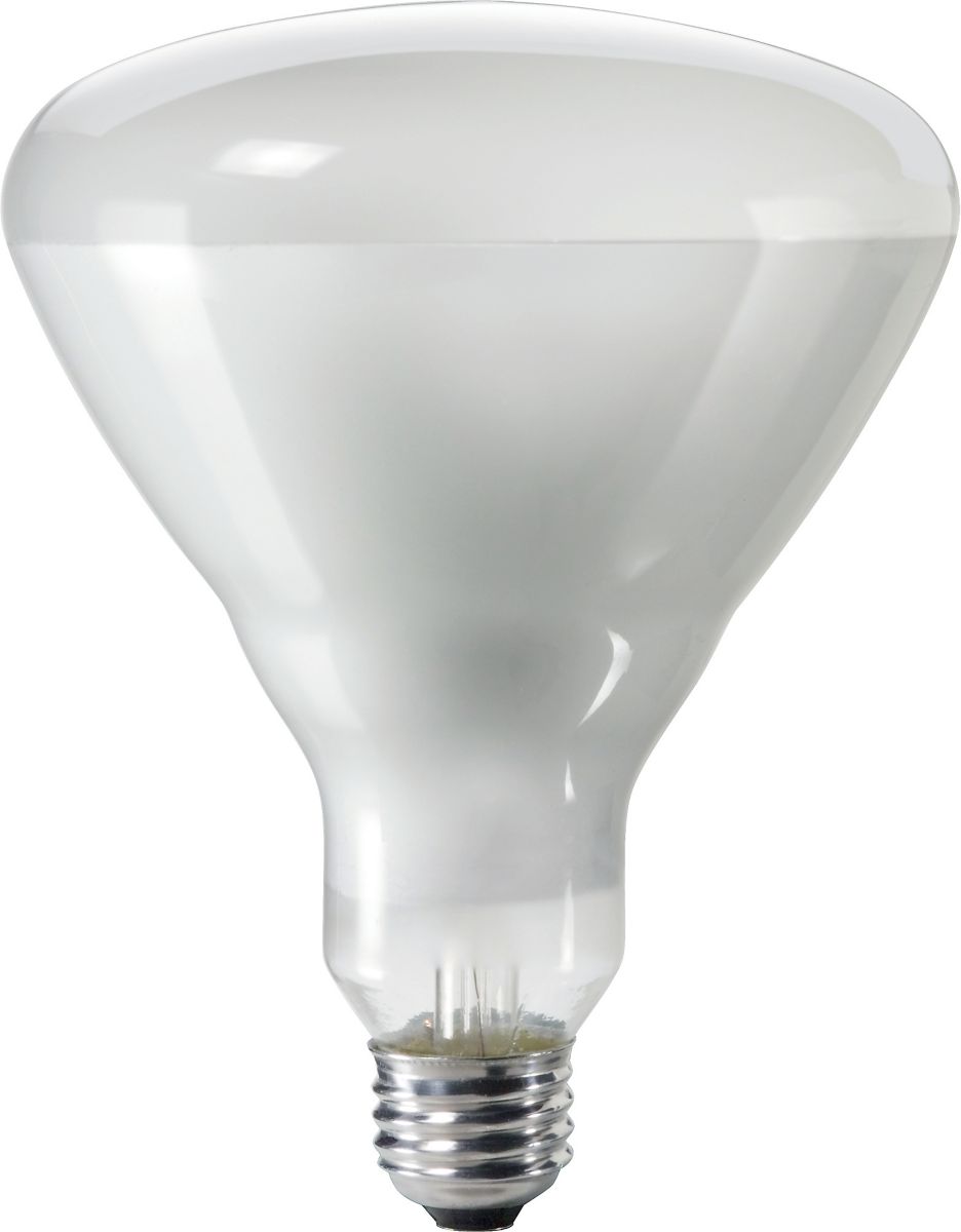 PHILIPS Philips 143438 300BR/FL 120/130V 24/1