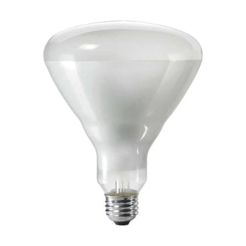 PHILIPS Philips 143438 300BR/FL 120/130V 24/1