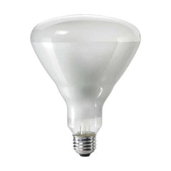 PHILIPS Philips 143438 300BR/FL 120/130V 24/1