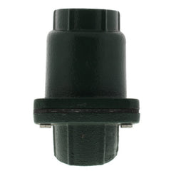 ZOELLER Zoeller 30-0164 1-1/2 in FNPT Cast Iron Check Valve Z300164
