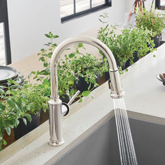 BLANCO Blanco 442502 Empressa Pull-Down Kitchen Faucet 1.5 GPM - Polished Nickel