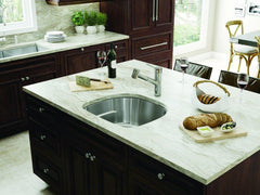 FRANKE Franke PRX11021 Prestige 22-1/4 x 19-7/8 in. No Hole Stainless Steel Single Bowl Undermount Kitchen Sink