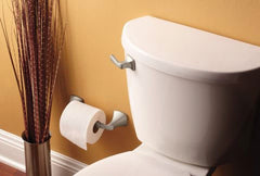 MOEN Moen YB5108ORB Voss Pivoting Paper Holder