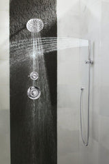 MOEN Moen S11705EP Fina Single Function Hand Shower in Polished Chrome