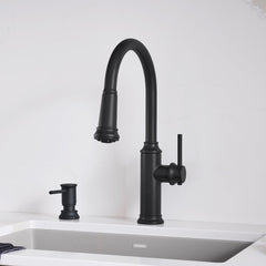 BLANCO Blanco 443023 Empressa Pull-Down Kitchen Faucet 1.5 GPM - Matte Black