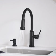 BLANCO Blanco 443023 Empressa Pull-Down Kitchen Faucet 1.5 GPM - Matte Black