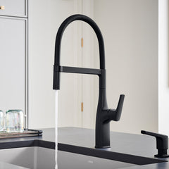 BLANCO Blanco 443019 Rivana Semi-Pro Kitchen Faucet 1.5 GPM - Matte Black