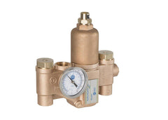 BRADLEY Bradley S19-2100 Navigator® 3/4 in. NPT Mixing Valve