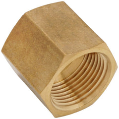 Jones Stephens G20121 3/4 FGH X 3/4 FPT GH Adapter (Lead Free)