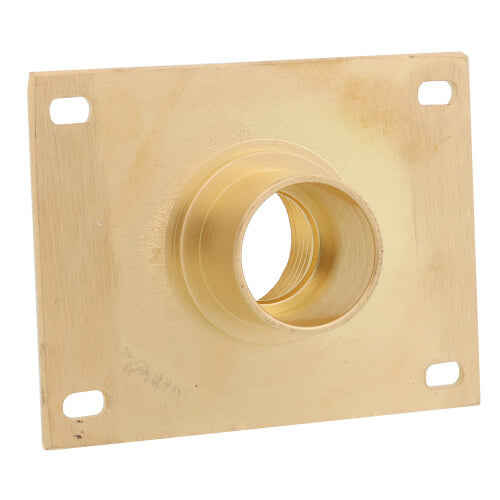 SIOUX CHIEF Sioux Chief 615-313 WalLet 3/4 in FIP x FSWT Wall Termination Fitting