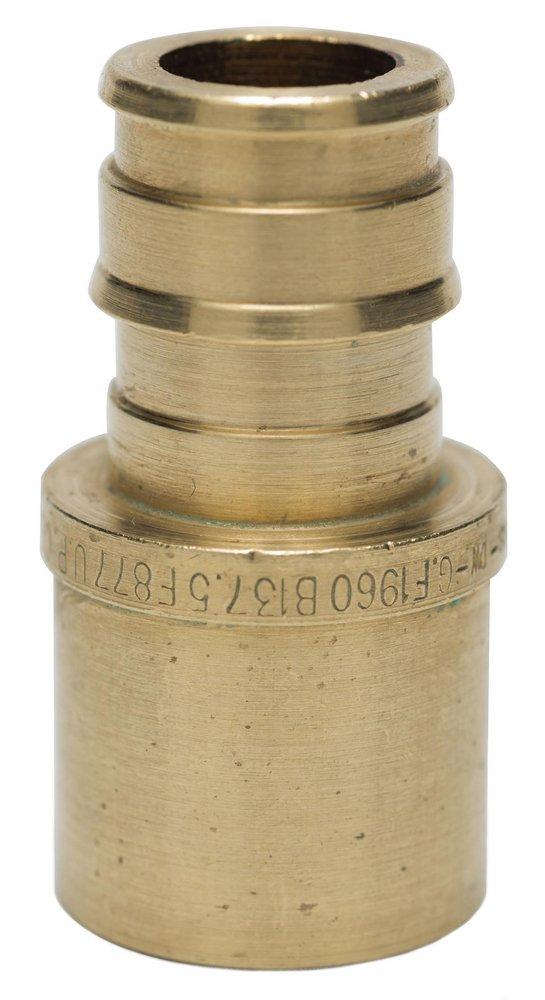 189484573.jpg