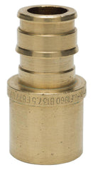 189484573.jpg