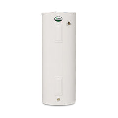 AO SMITH 100309295 WATER HEATERS