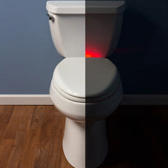 BEMIS 200E3NL 390 TOILET SEATS