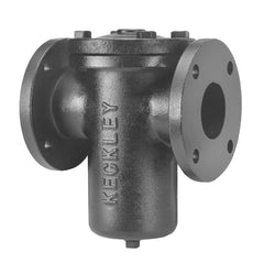 KECKLEY 41FFS-CI125P34-FBI-GFV PIPE FITTINGS