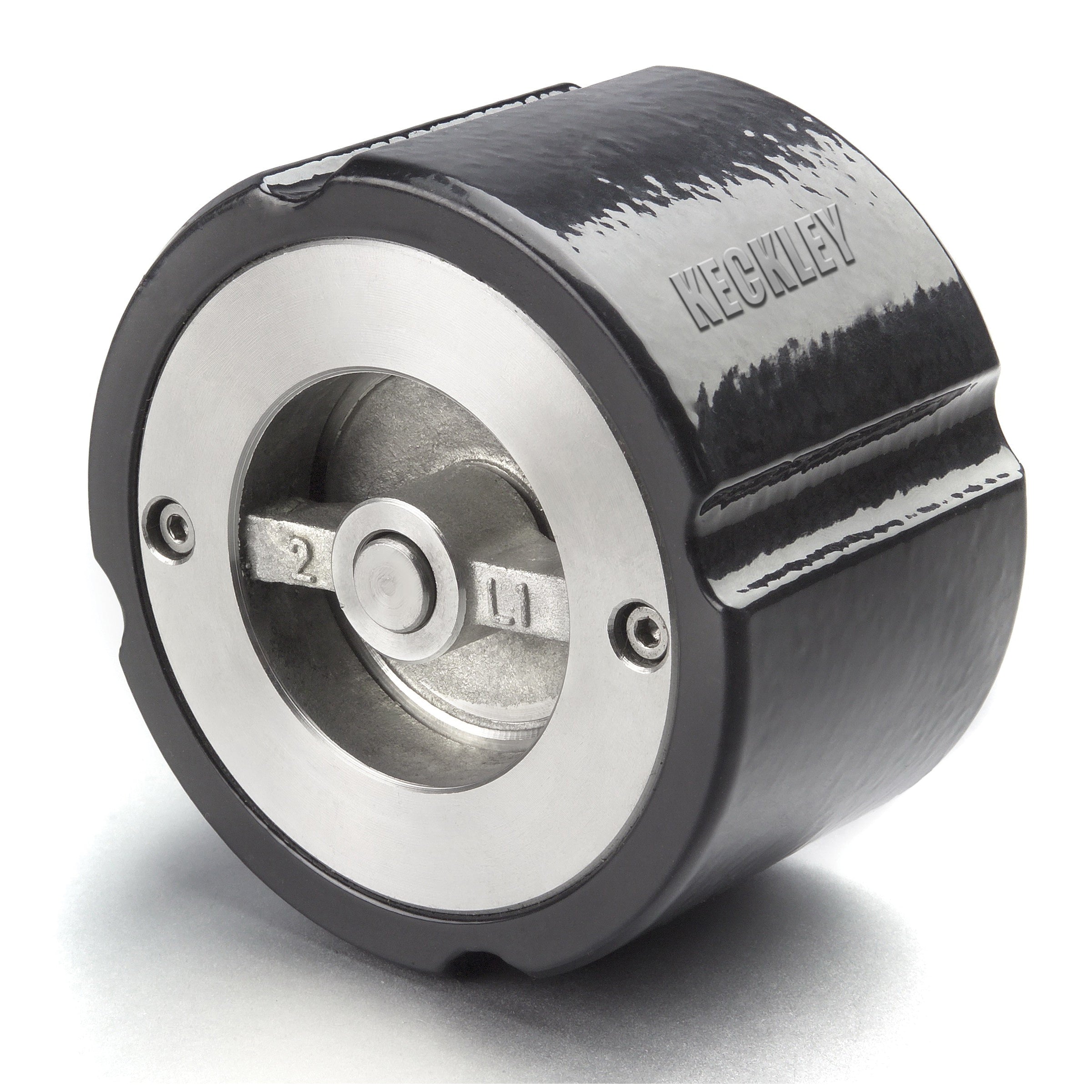 KECKLEY CW1F-CI-B2334-250 CHECK VALVES