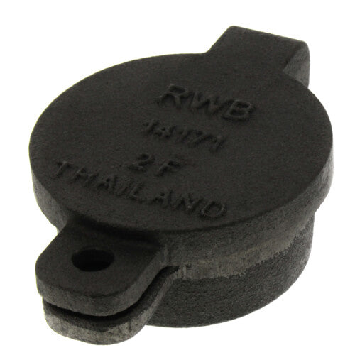 RW BECKETT R. W. Beckett 14171 2 in. FPT Hinged Fill Cap B14171
