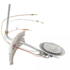AO SMITH 100110758 BURNER ASSEMBLIES