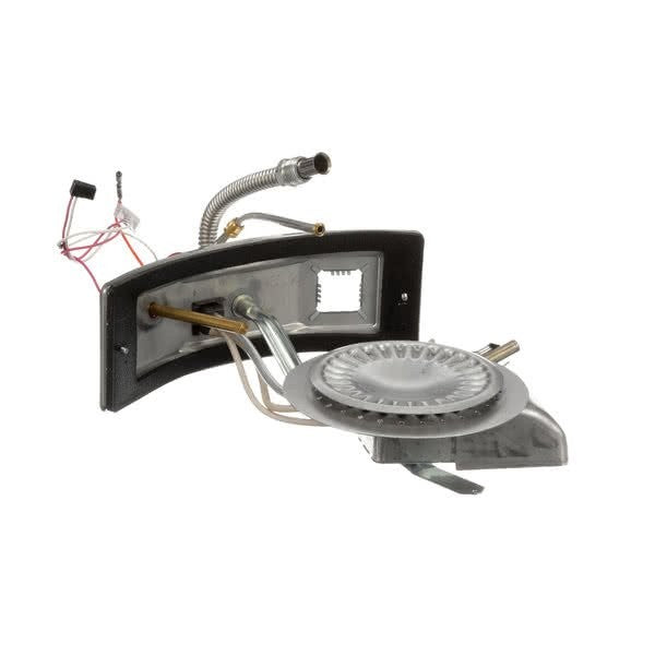 AO SMITH 9007902005 BURNER ASSEMBLIES