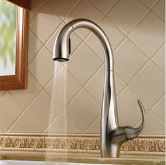 PFISTER Pfister LF-529-7ANS Avanti Single Handle Pull Down Kitchen Faucet in Stainless Steel
