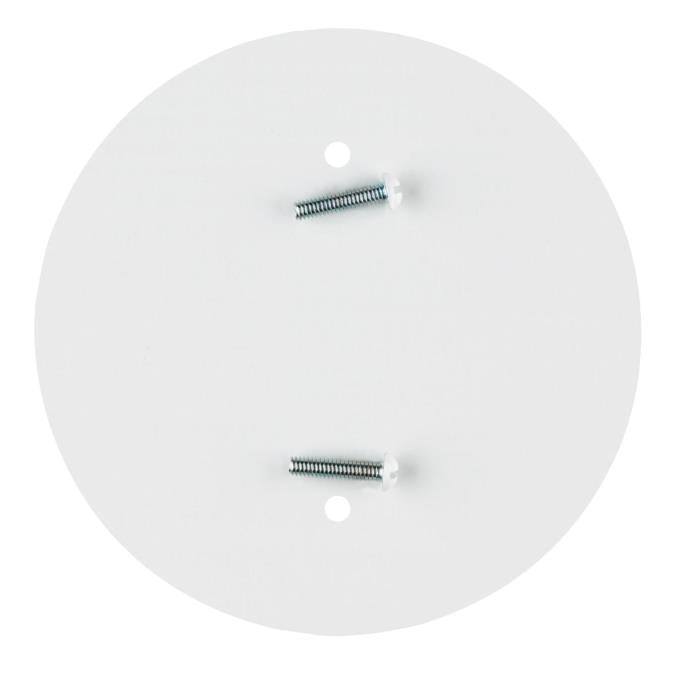 WESTINGHOUSE 2945200 LIGHTING, CONTROLS & ACCESSORIES