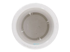 PENTAIR Pentair R172305 Water Bypass #12 Check Valve