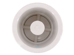 PENTAIR Pentair R172305 Water Bypass #12 Check Valve