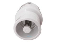 PENTAIR Pentair R172305 Water Bypass #12 Check Valve