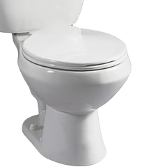 BRIGGS PLUMBING 4325-235 TOILETS & ACCESSORIES