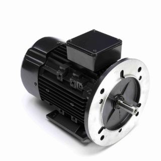 MARATHON MOTORS R393A NEMA & TEFC MOTORS