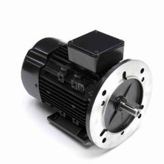 MARATHON MOTORS R393A NEMA & TEFC MOTORS