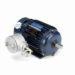 MARATHON MOTORS U002A EXPLOSION PROOF MOTORS