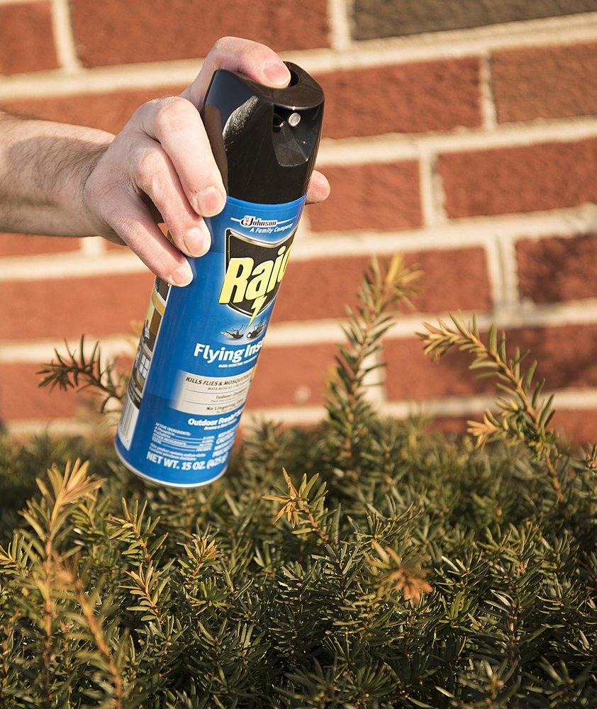 RAID Raid 300816 15 oz Aerosol Commercial Flying Insect Killer Spray