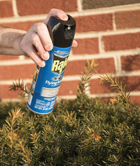 RAID Raid 300816 15 oz Aerosol Commercial Flying Insect Killer Spray