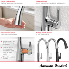 AMERICAN STANDARD American Standard 9319310.002 Renate Single-Handle Pull-Down Kitchen Faucet 1.5 gpm
