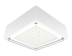 RAB VANLED20NW LIGHTING, CONTROLS & ACCESSORIES