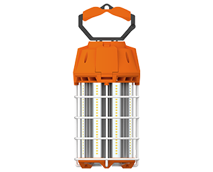 RAB TEMP-150-850/35CP GAS VALVES