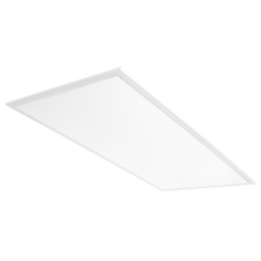 RAB RAB EZPAN2X4-50N/D10/E2 LED Panel Light 50W LT FX