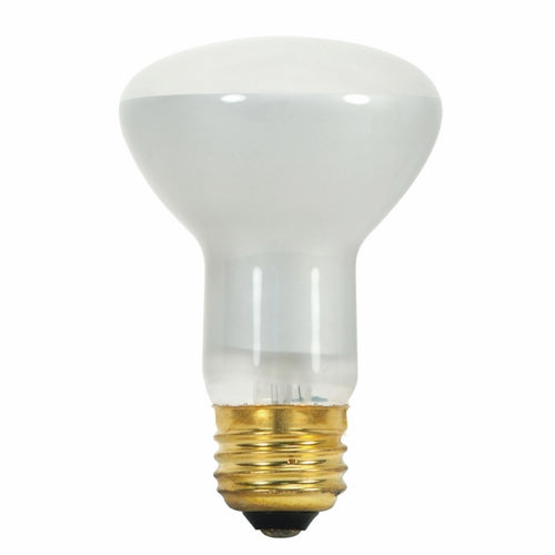 SATCO-NUVO S3229 LIGHTING, CONTROLS & ACCESSORIES